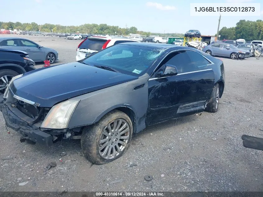 2012 Cadillac Cts Coupe VIN: 1JG6BL1E35C012873 Lot: 40310614