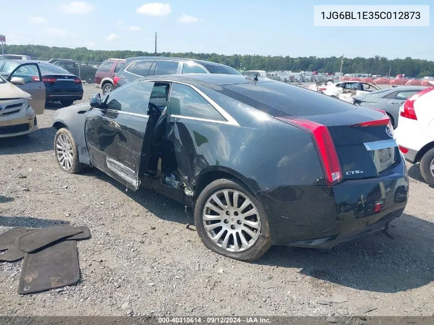 2012 Cadillac Cts Coupe VIN: 1JG6BL1E35C012873 Lot: 40310614