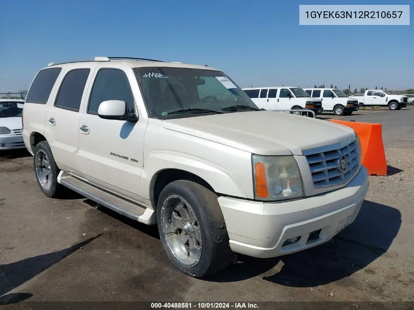 2002 Cadillac Escalade Luxury VIN: 1GYEK63N12R210657 Lot: 40488581