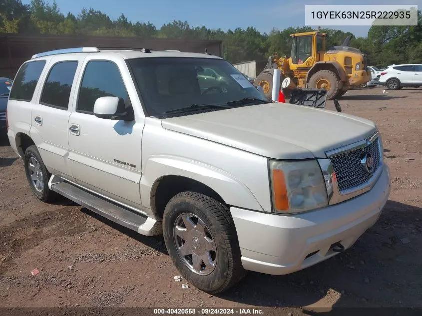 2005 Cadillac Escalade Standard VIN: 1GYEK63N25R222935 Lot: 40420568