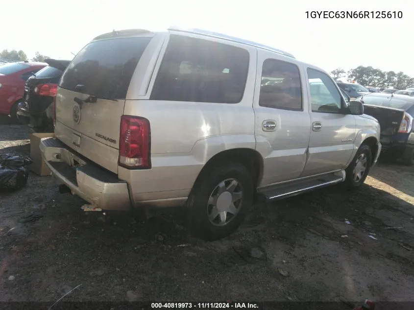 2006 Cadillac Escalade Standard VIN: 1GYEC63N66R125610 Lot: 40819973