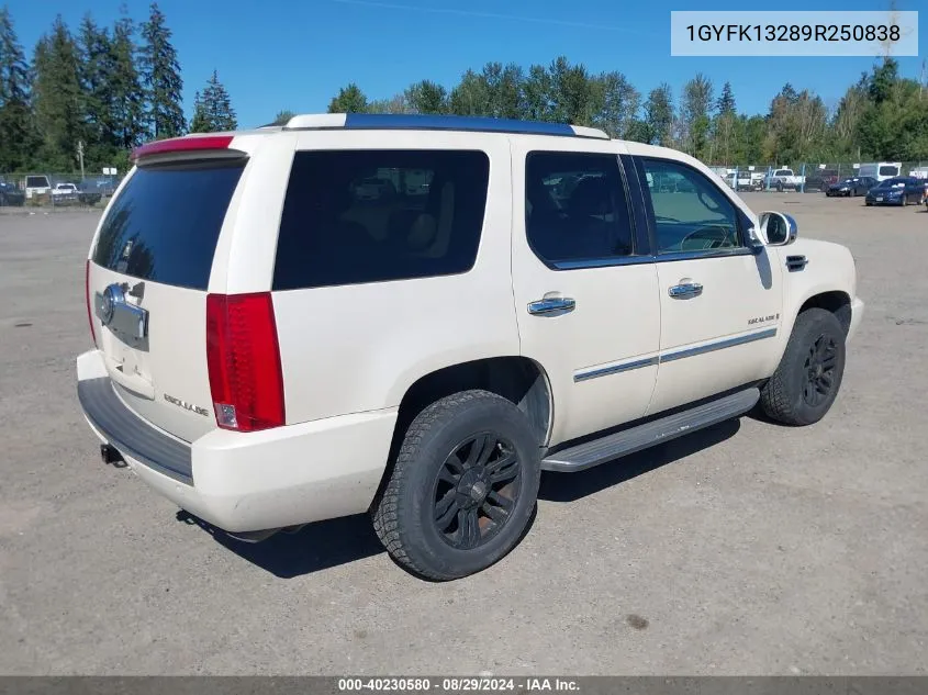 2009 Cadillac Escalade Standard VIN: 1GYFK13289R250838 Lot: 40230580