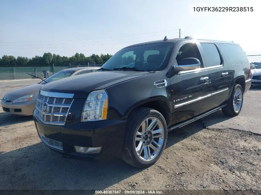 2009 Cadillac Escalade Esv Platinum Edition VIN: 1GYFK36229R238515 Lot: 40307847