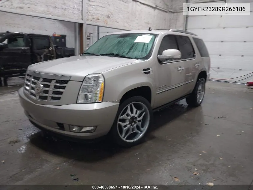 2009 Cadillac Escalade Standard VIN: 1GYFK23289R266186 Lot: 40598657