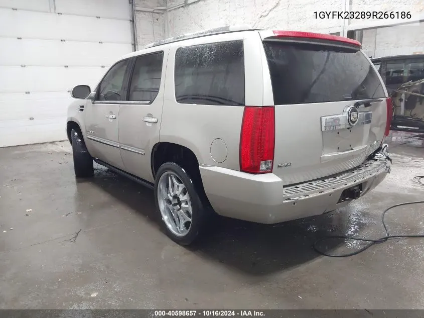 2009 Cadillac Escalade Standard VIN: 1GYFK23289R266186 Lot: 40598657