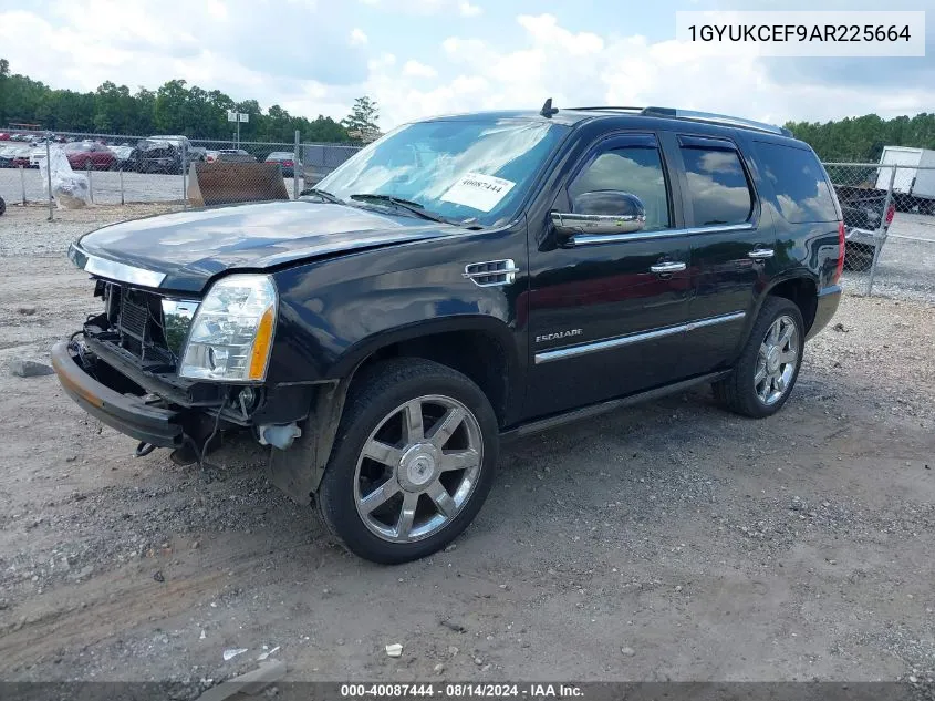 2010 Cadillac Escalade Premium VIN: 1GYUKCEF9AR225664 Lot: 40087444