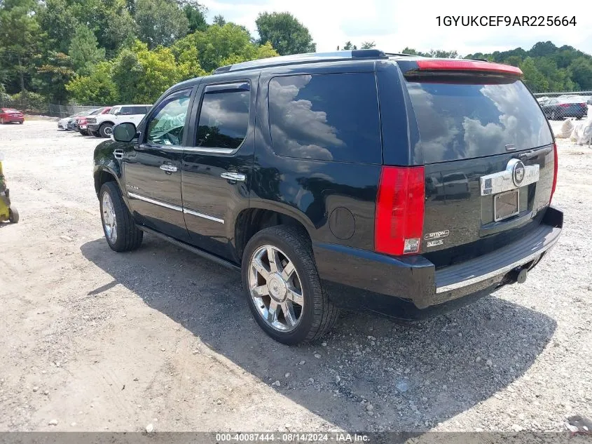 2010 Cadillac Escalade Premium VIN: 1GYUKCEF9AR225664 Lot: 40087444