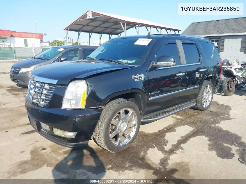 2010 Cadillac Escalade Luxury VIN: 1GYUKBEF3AR236850 Lot: 40380291