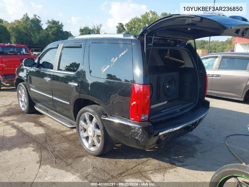 2010 Cadillac Escalade Luxury VIN: 1GYUKBEF3AR236850 Lot: 40380291