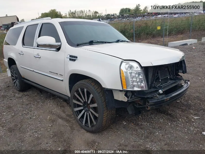 2010 Cadillac Escalade Esv Platinum Edition VIN: 1GYUKKEFXAR255900 Lot: 40409773