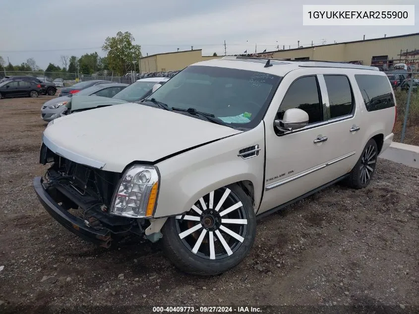 2010 Cadillac Escalade Esv Platinum Edition VIN: 1GYUKKEFXAR255900 Lot: 40409773