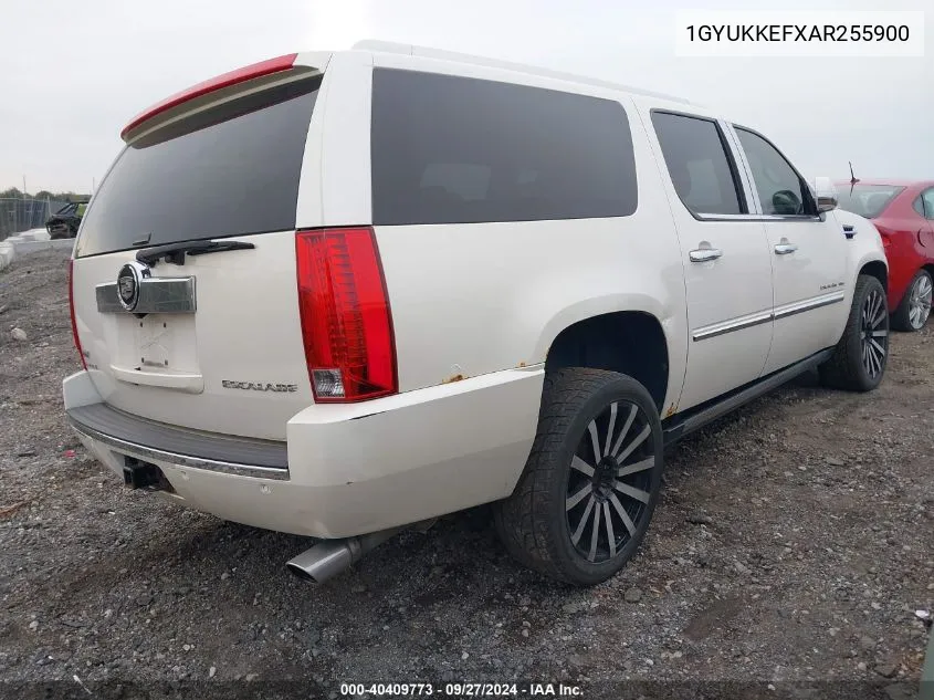 2010 Cadillac Escalade Esv Platinum Edition VIN: 1GYUKKEFXAR255900 Lot: 40409773