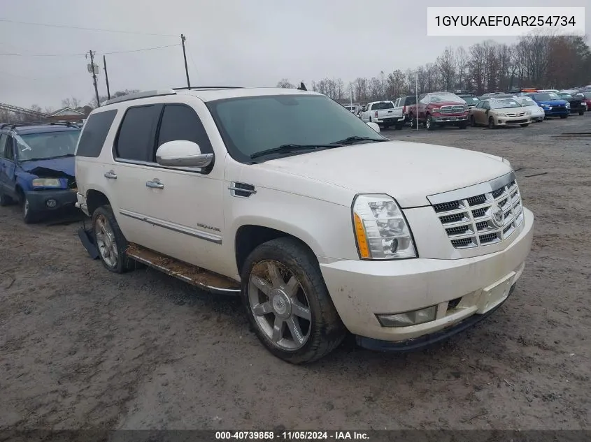 2010 Cadillac Escalade VIN: 1GYUKAEF0AR254734 Lot: 40739858