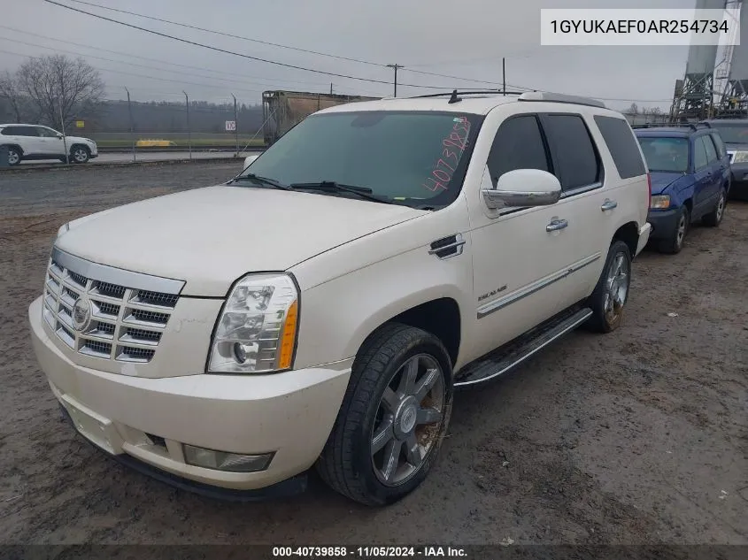 2010 Cadillac Escalade VIN: 1GYUKAEF0AR254734 Lot: 40739858