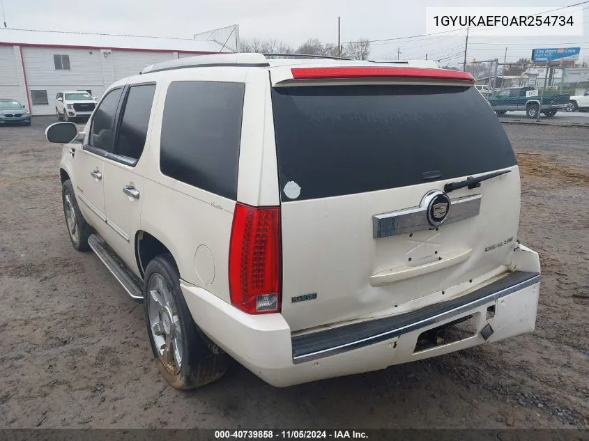 2010 Cadillac Escalade VIN: 1GYUKAEF0AR254734 Lot: 40739858