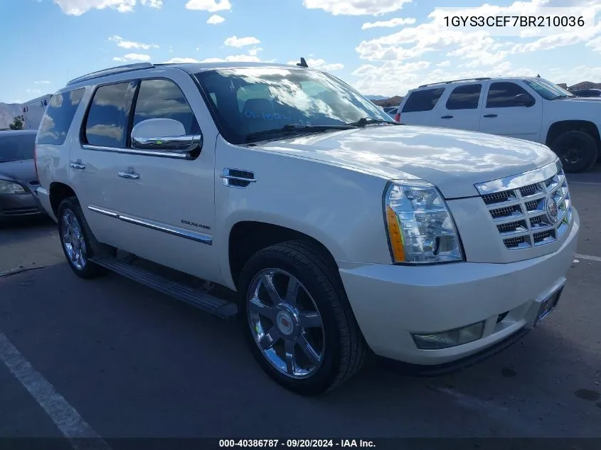 2011 Cadillac Escalade Premium VIN: 1GYS3CEF7BR210036 Lot: 40386787