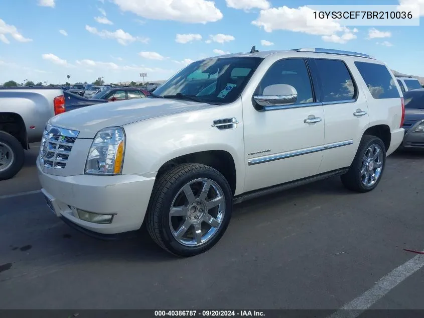 2011 Cadillac Escalade Premium VIN: 1GYS3CEF7BR210036 Lot: 40386787