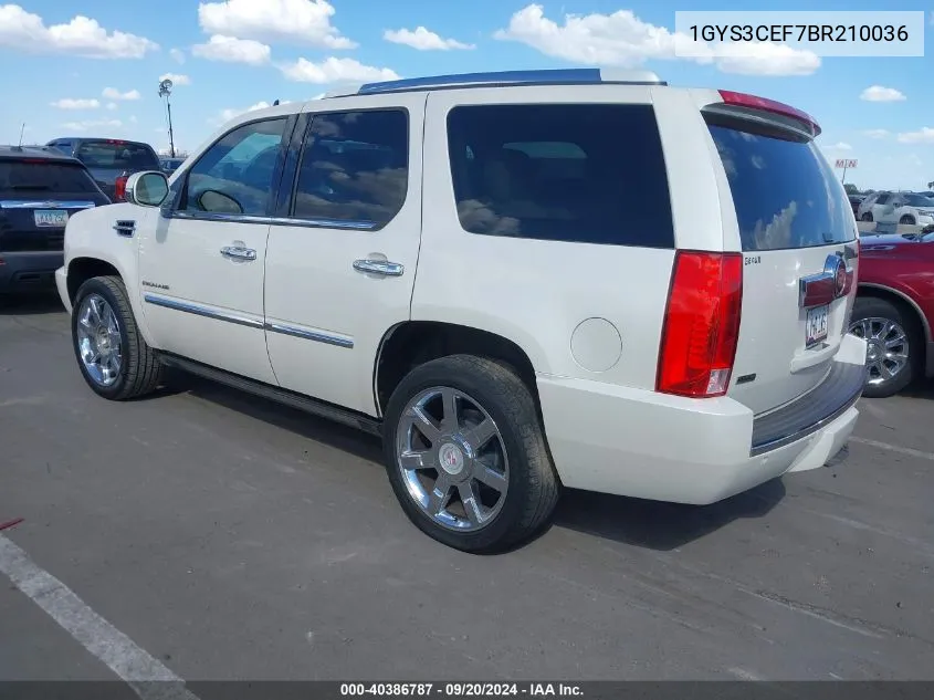 2011 Cadillac Escalade Premium VIN: 1GYS3CEF7BR210036 Lot: 40386787