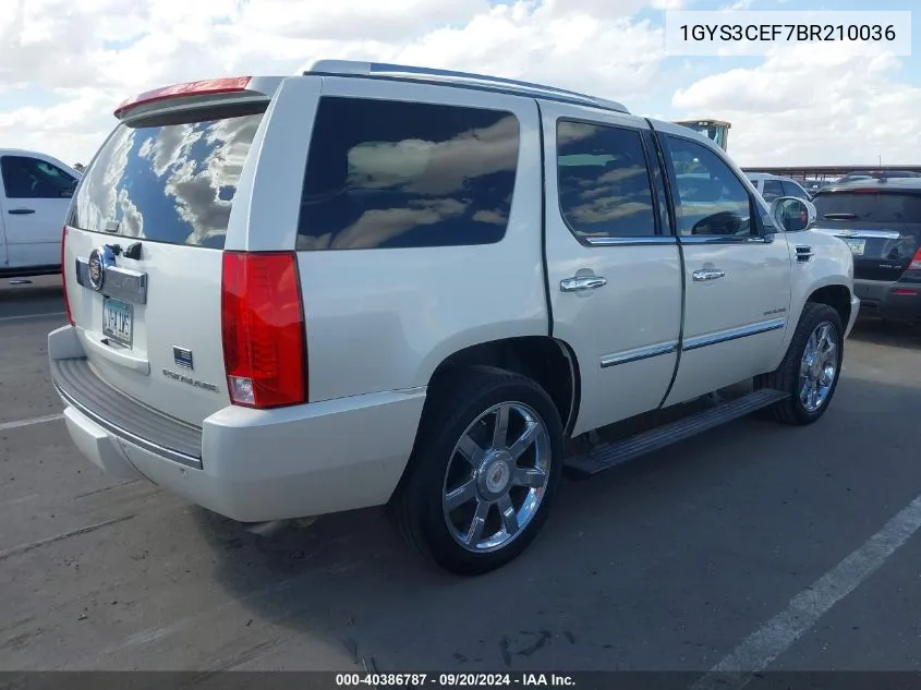 1GYS3CEF7BR210036 2011 Cadillac Escalade Premium