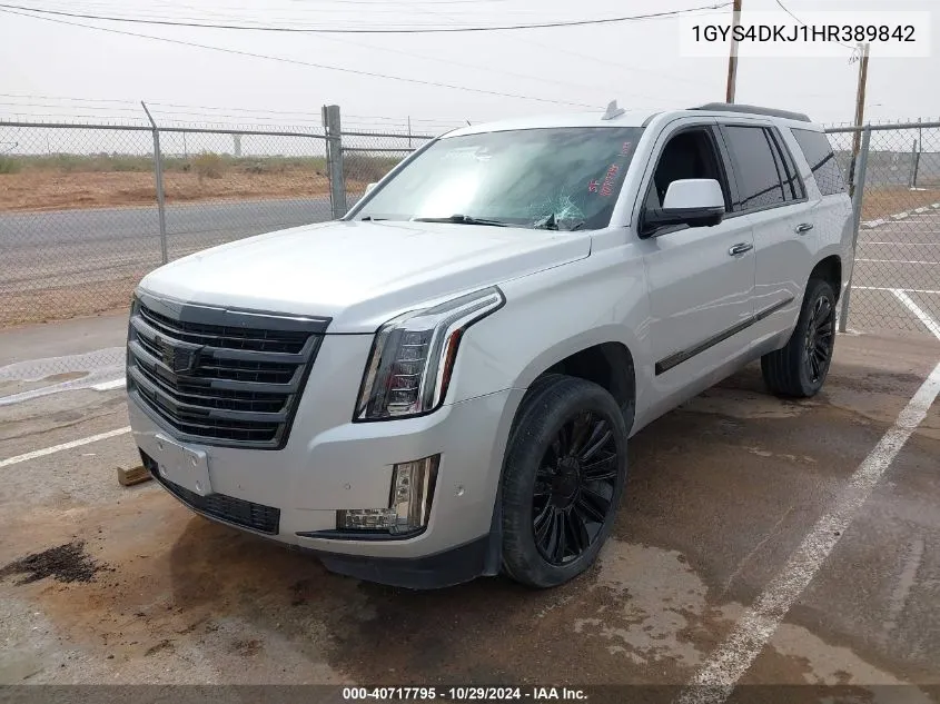 2017 Cadillac Escalade Platinum VIN: 1GYS4DKJ1HR389842 Lot: 40717795