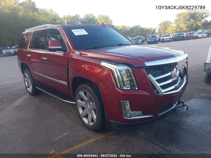 2019 Cadillac Escalade Premium Luxury VIN: 1GYS4CKJ0KR229789 Lot: 40434443