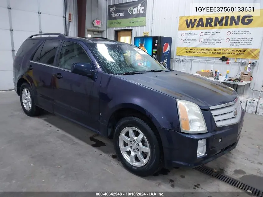 2006 Cadillac Srx V6 VIN: 1GYEE637560133651 Lot: 40642948