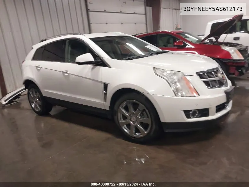 2010 Cadillac Srx Performance Collection VIN: 3GYFNEEY5AS612173 Lot: 40300722