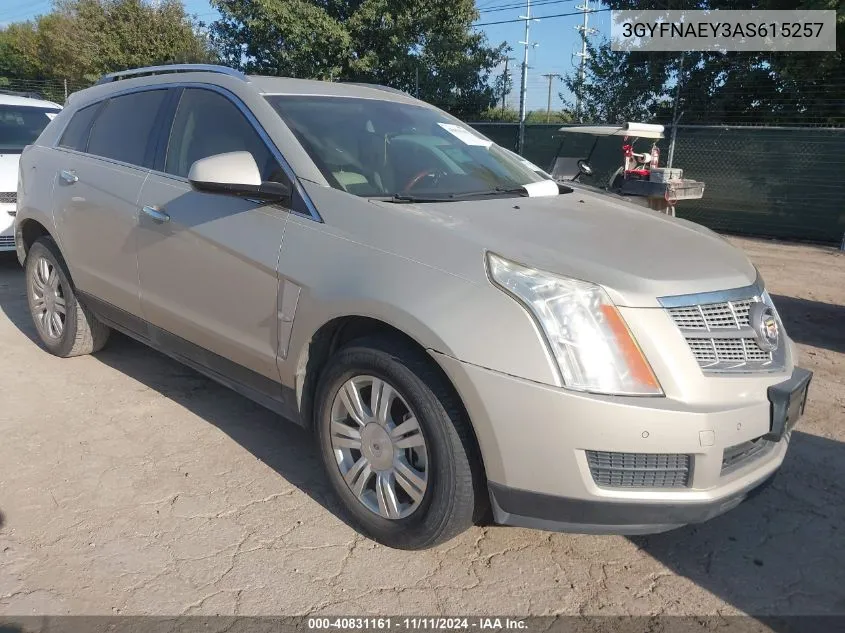 2010 Cadillac Srx Luxury Collection VIN: 3GYFNAEY3AS615257 Lot: 40831161