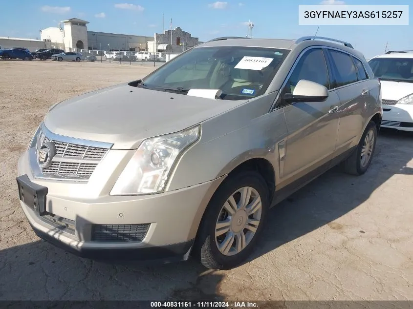 2010 Cadillac Srx Luxury Collection VIN: 3GYFNAEY3AS615257 Lot: 40831161