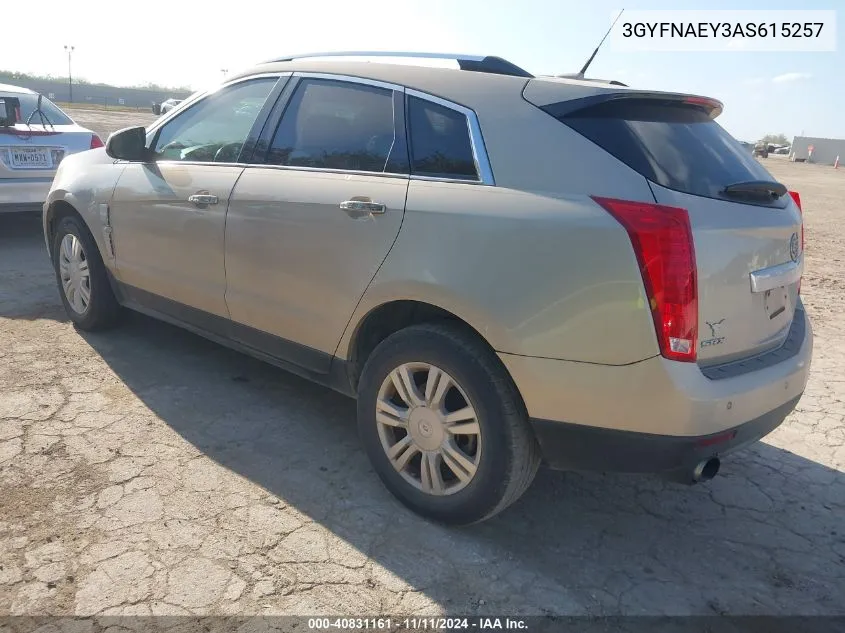 2010 Cadillac Srx Luxury Collection VIN: 3GYFNAEY3AS615257 Lot: 40831161