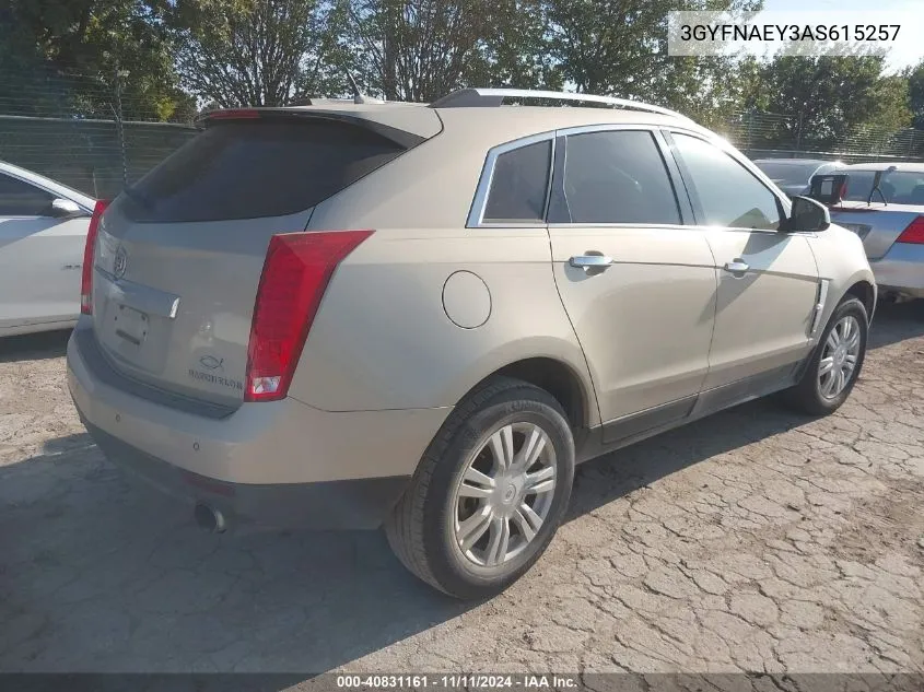 2010 Cadillac Srx Luxury Collection VIN: 3GYFNAEY3AS615257 Lot: 40831161