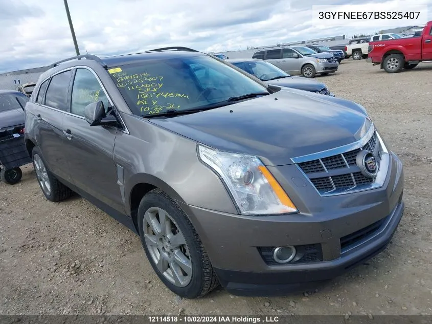 2011 Cadillac Srx VIN: 3GYFNEE67BS525407 Lot: 12114518