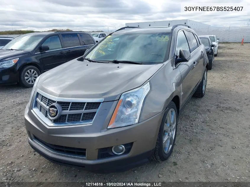 2011 Cadillac Srx VIN: 3GYFNEE67BS525407 Lot: 12114518