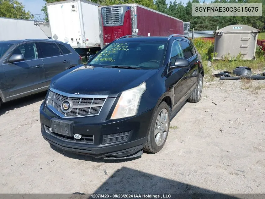 2012 Cadillac Srx Luxury Collection VIN: 3GYFNAE30CS615675 Lot: 12073423