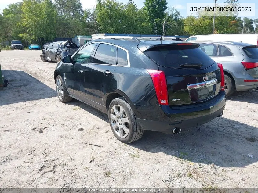 2012 Cadillac Srx Luxury Collection VIN: 3GYFNAE30CS615675 Lot: 12073423