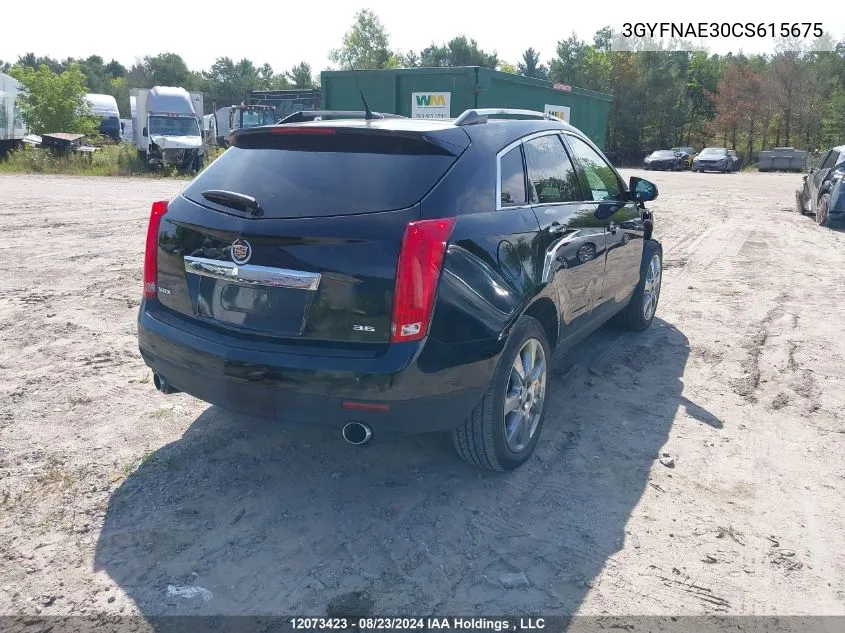 2012 Cadillac Srx Luxury Collection VIN: 3GYFNAE30CS615675 Lot: 12073423