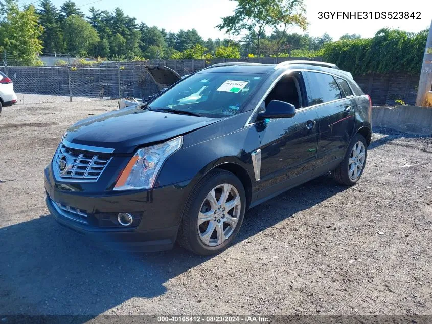 2013 Cadillac Srx Performance Collection VIN: 3GYFNHE31DS523842 Lot: 40165412