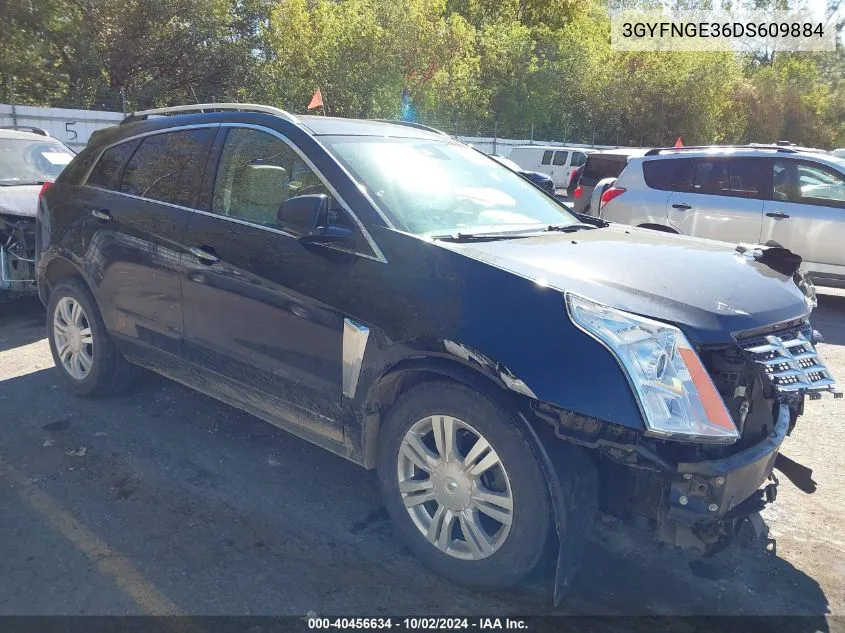 2013 Cadillac Srx Luxury Collection VIN: 3GYFNGE36DS609884 Lot: 40456634