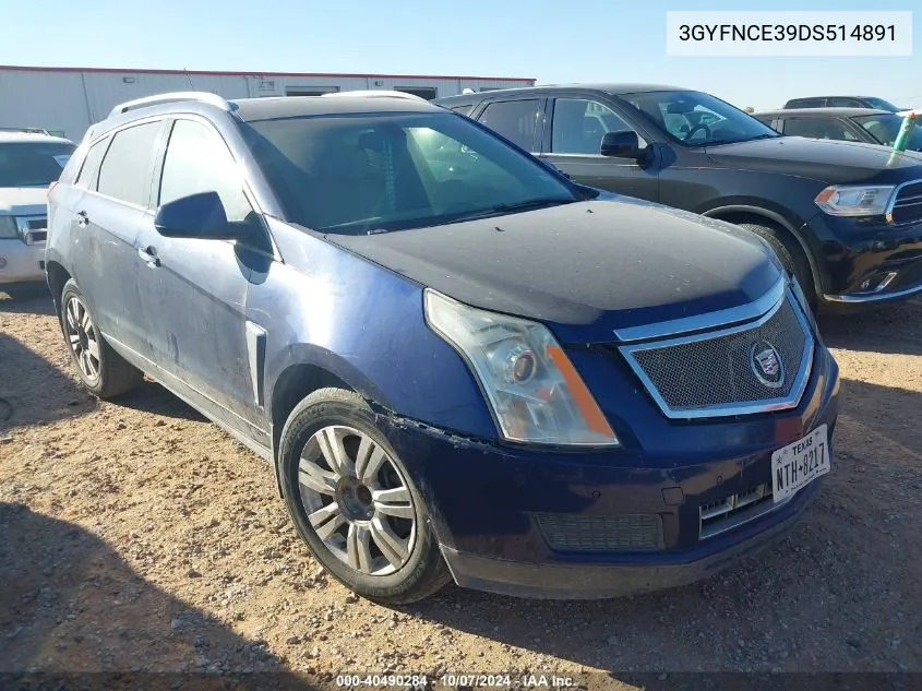 2013 Cadillac Srx Luxury Collection VIN: 3GYFNCE39DS514891 Lot: 40490284