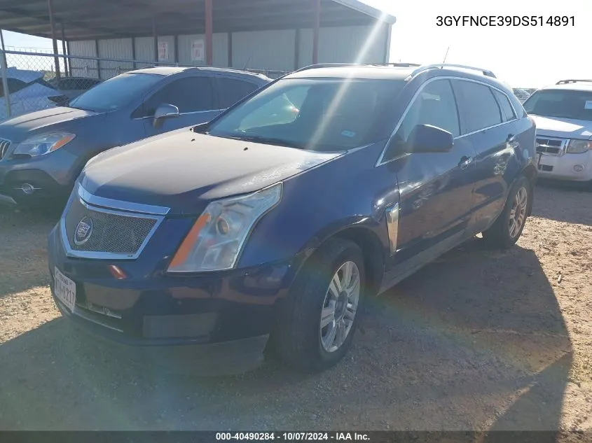 2013 Cadillac Srx Luxury Collection VIN: 3GYFNCE39DS514891 Lot: 40490284