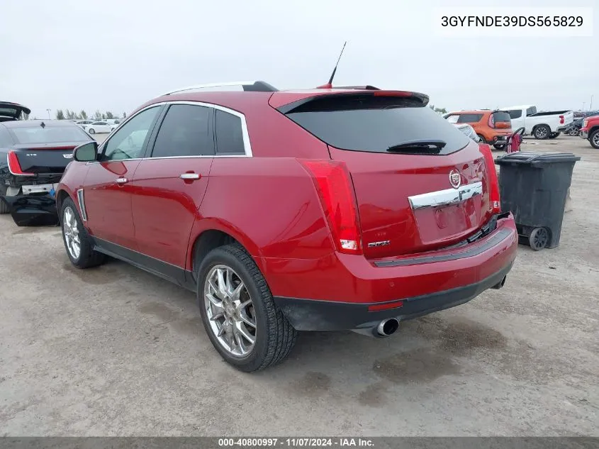 2013 Cadillac Srx Performance Collection VIN: 3GYFNDE39DS565829 Lot: 40800997