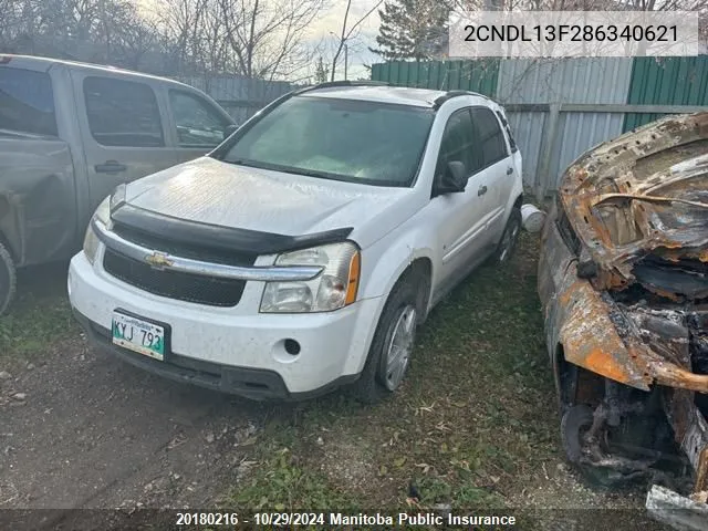 2008 Chevrolet Equinox Ls V6 VIN: 2CNDL13F286340621 Lot: 20180216