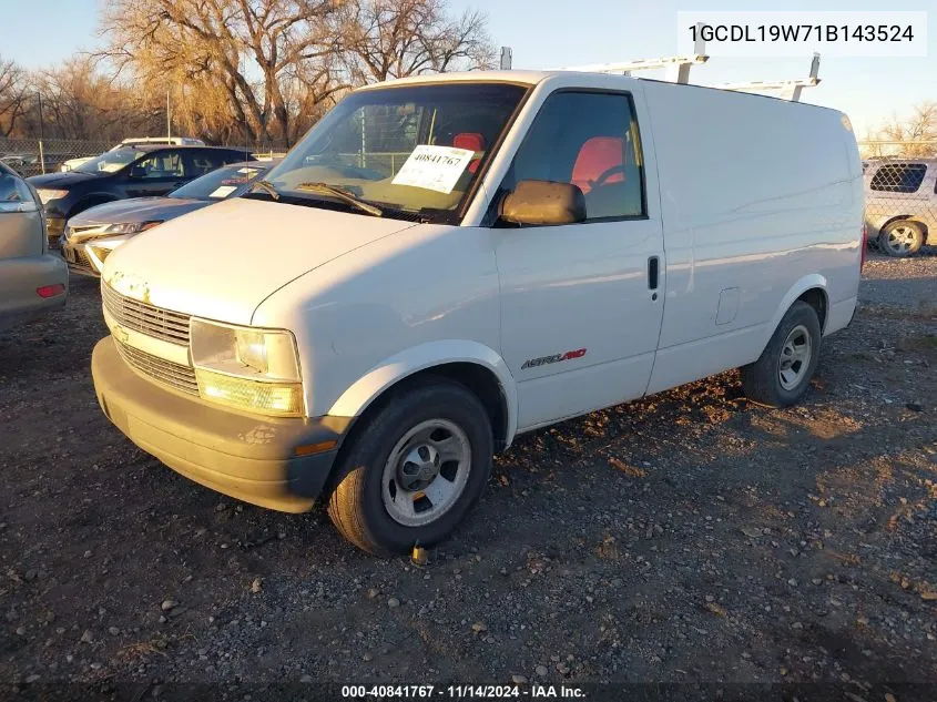 2001 Chevrolet Astro VIN: 1GCDL19W71B143524 Lot: 40841767