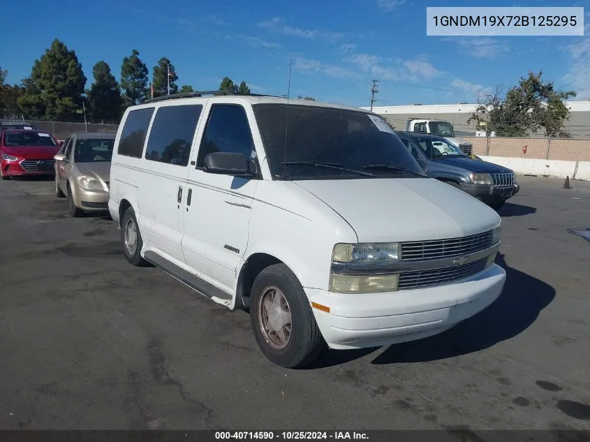 2002 Chevrolet Astro Ls VIN: 1GNDM19X72B125295 Lot: 40714590