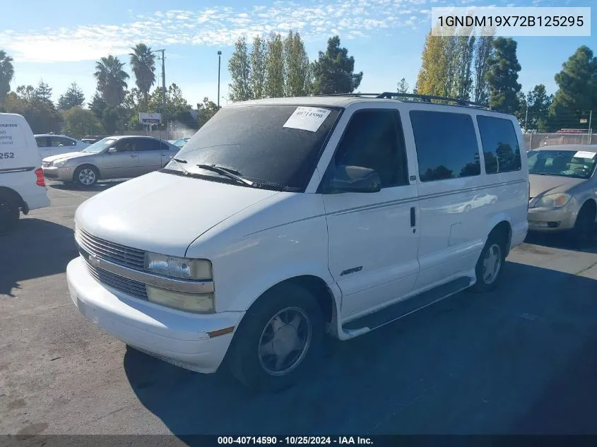 2002 Chevrolet Astro Ls VIN: 1GNDM19X72B125295 Lot: 40714590