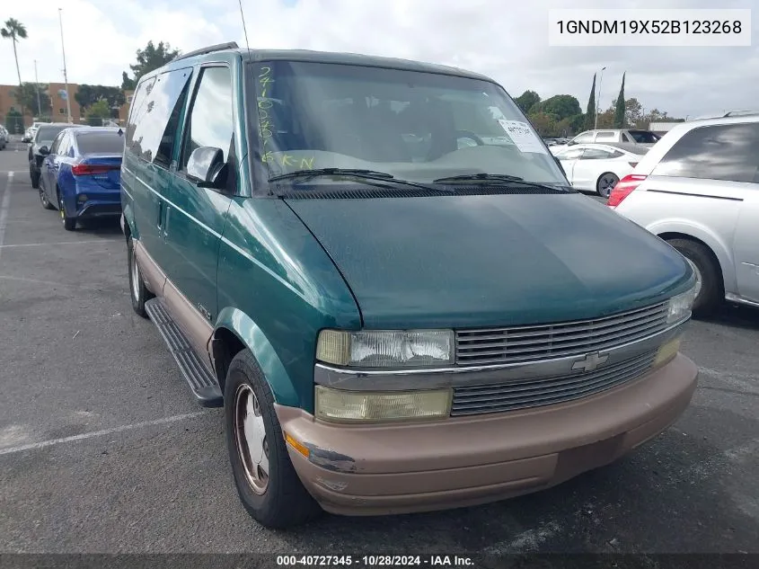 2002 Chevrolet Astro Ls VIN: 1GNDM19X52B123268 Lot: 40727345