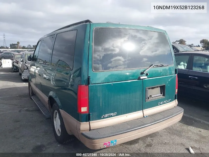 2002 Chevrolet Astro Ls VIN: 1GNDM19X52B123268 Lot: 40727345