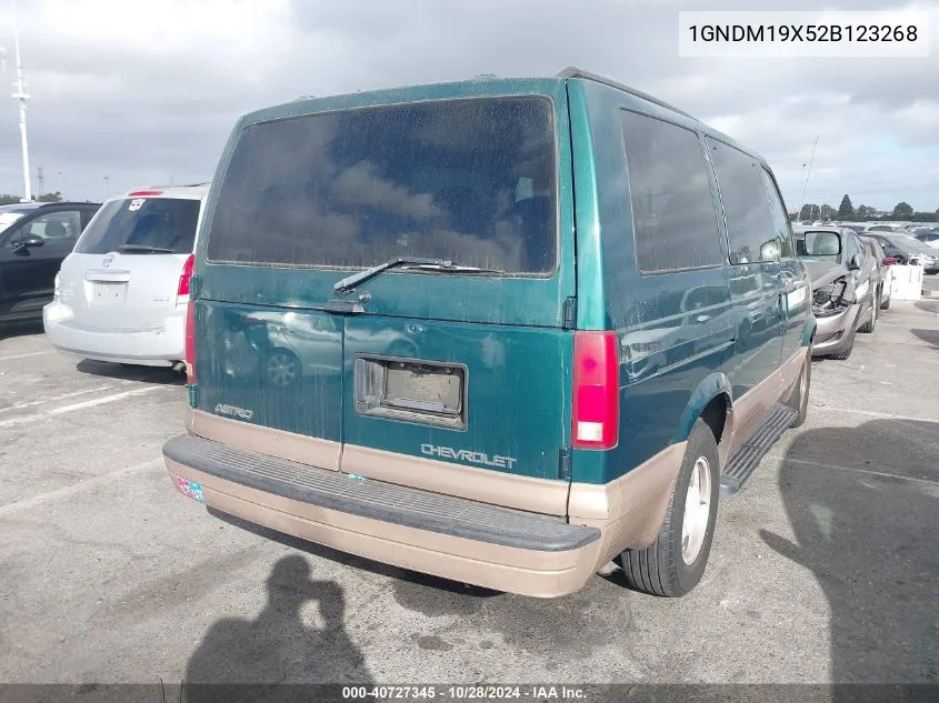 2002 Chevrolet Astro Ls VIN: 1GNDM19X52B123268 Lot: 40727345