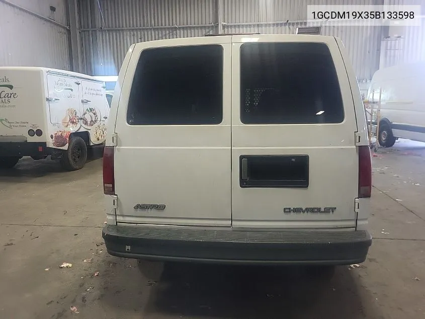 2005 Chevrolet Astro VIN: 1GCDM19X35B133598 Lot: 40599804