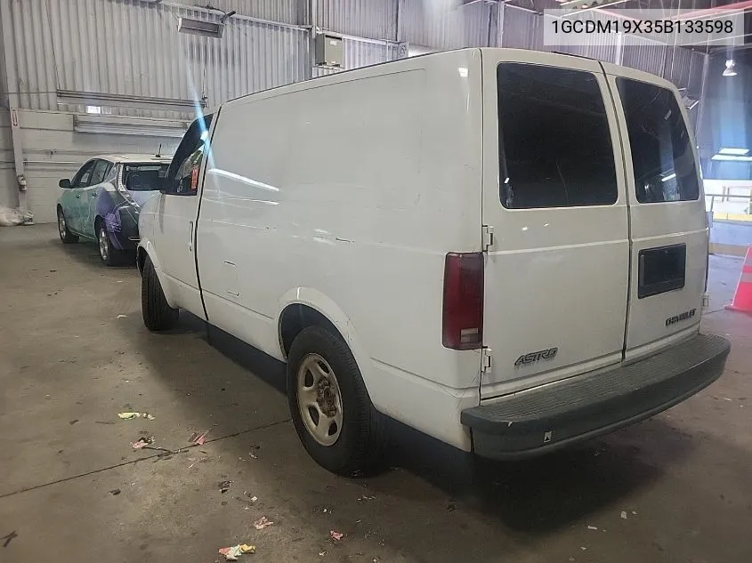 2005 Chevrolet Astro VIN: 1GCDM19X35B133598 Lot: 40599804